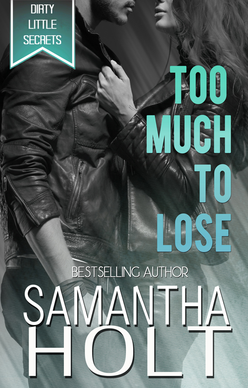 Cover Reveal/ Too Much To Lose